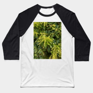 Foliage Baseball T-Shirt